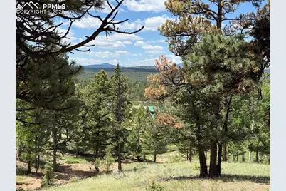 17 Amanda Circle, Florissant, CO 80816 - Photo 7