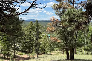 17 Amanda Cir, Florissant, CO 80816 - Photo 7