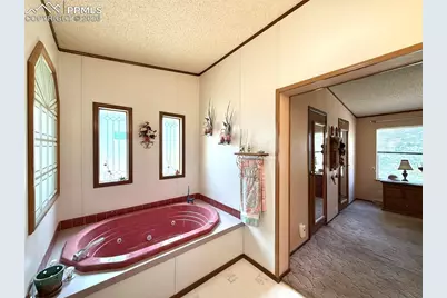 17 Amanda Circle, Florissant, CO 80816 - Photo 39