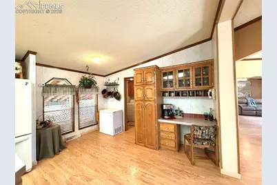 17 Amanda Circle, Florissant, CO 80816 - Photo 19