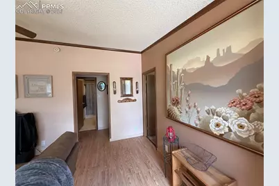 17 Amanda Circle, Florissant, CO 80816 - Photo 25