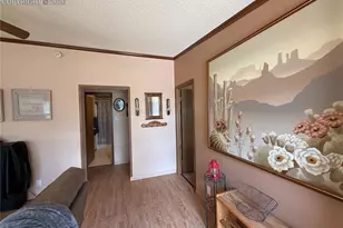 17 Amanda Cir, Florissant, CO 80816 - Photo 25