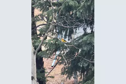 325 Willow Road, Divide, CO 80814 - Photo 37