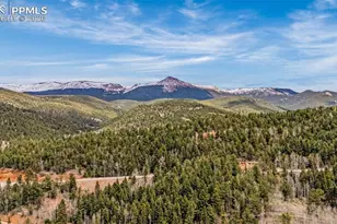 325 Willow Rd, Divide, CO 80814 - Photo 31