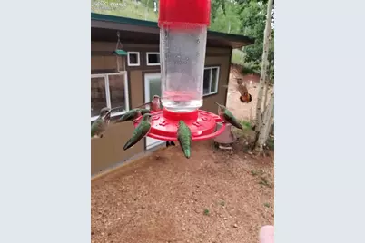 325 Willow Road, Divide, CO 80814 - Photo 35