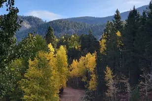 325 Willow Rd, Divide, CO 80814 - Photo 45