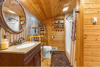 325 Willow Road, Divide, CO 80814 - Photo 23