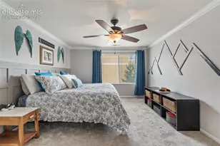 6508 Emerald Isle Heights, Colorado Springs, CO 80923 - Photo 23