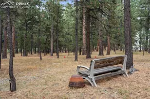 20175 Wissler Ranch Rd, Colorado Springs, CO 80908 - Photo 41