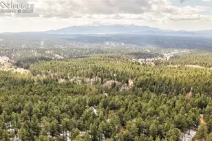 3613 Trail Creek Rd, Florissant, CO 80816 - Photo 41