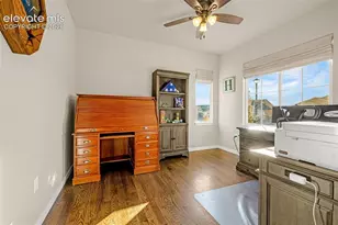 9931 Antelope Ravine Dr, Colorado Springs, CO 80908 - Photo 17