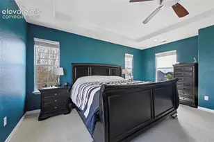 7334 Talimena Terrace, Peyton, CO 80831 - Photo 15