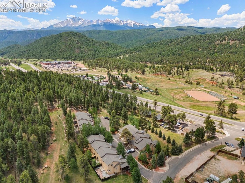 130 Elk Grove Ln, Woodland Park CO 80863-9158 exterior