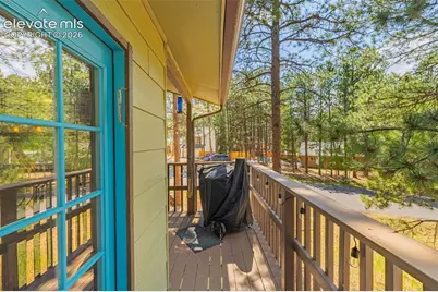 917 Centre Camino Na, Woodland Park, CO 80863 - Photo 43
