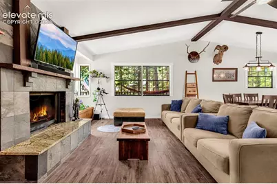 917 Centre Camino Na, Woodland Park, CO 80863 - Photo 5