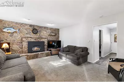 702 Sunnywood Loop, Woodland Park, CO 80863 - Photo 9
