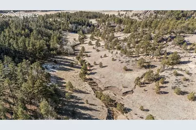 0 County Road 12, Florissant, CO 80816 - Photo 9