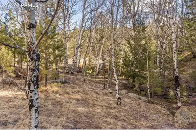 0 County Road 12, Florissant, CO 80816 - Photo 21
