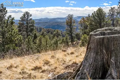 0 County Road 12, Florissant, CO 80816 - Photo 33