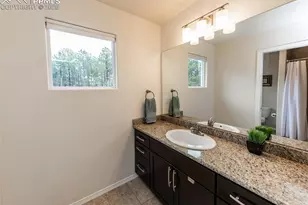 15948 Huckleberry Hts, Colorado Springs, CO 80908 - Photo 29