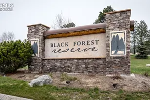 15948 Huckleberry Hts, Colorado Springs, CO 80908 - Photo 47