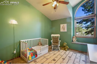 727 Pinon Ridge Drive, Woodland Park, CO 80863 - Photo 25