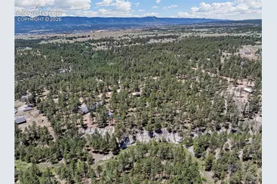 11755 Timberlane Court, Colorado Springs, CO 80908 - Photo 11