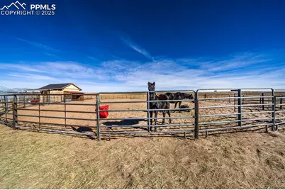 24225 Myers Road, Colorado Springs, CO 80928 - Photo 5