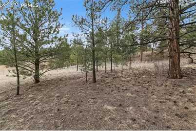 251 County Road 31, Florissant, CO 80816 - Photo 17