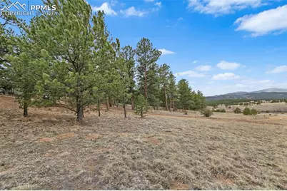 251 County Road 31, Florissant, CO 80816 - Photo 19