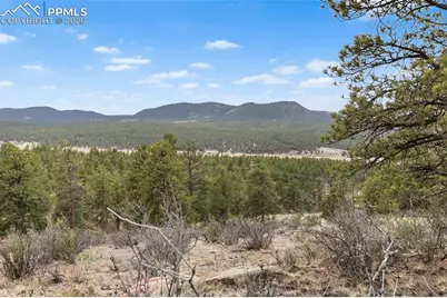 251 County Road 31, Florissant, CO 80816 - Photo 15