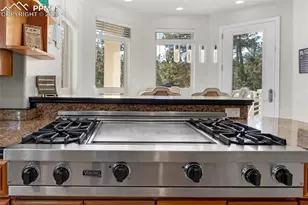 17502 Abert Ridge View, Colorado Springs, CO 80908 - Photo 11