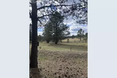 382 Arrowhead Drive, Florissant, CO 80816 - Photo 7