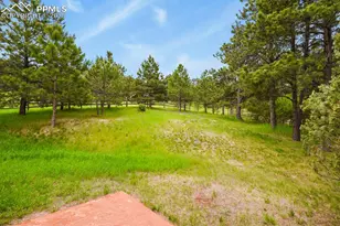 19085 Merry Men Cir, Monument, CO 80132 - Photo 39