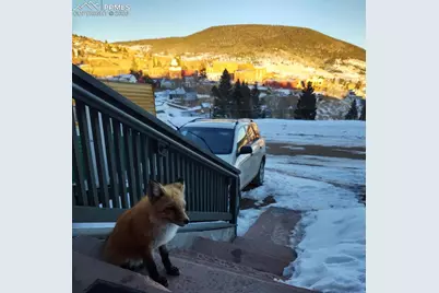 123 S Seventh Street, Victor, CO 80860 - Photo 39