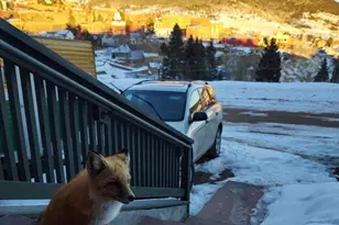 123 S Seventh St, Victor, CO 80860 - Photo 39