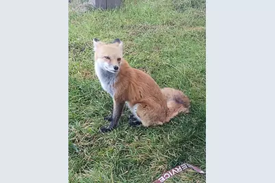 123 S Seventh Street, Victor, CO 80860 - Photo 41