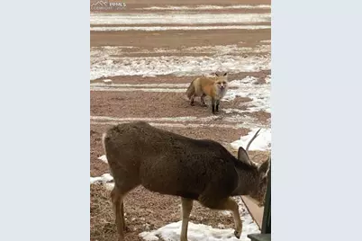 123 S Seventh Street, Victor, CO 80860 - Photo 37