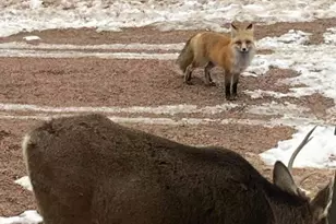 123 S Seventh St, Victor, CO 80860 - Photo 37