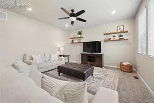 9775 Cronin St, Fountain, CO 80817 - Photo 19