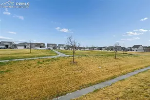 9775 Cronin St, Fountain, CO 80817 - Photo 41