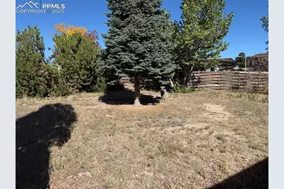 2410 Cather Court, Colorado Springs, CO 80916 - Photo 13