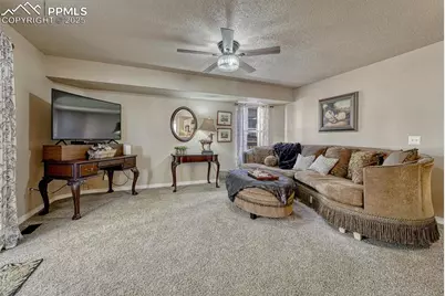 7295 Cotton Drive, Colorado Springs, CO 80923 - Photo 17