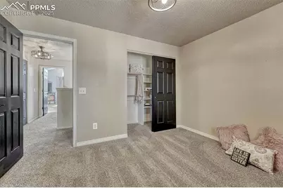 7295 Cotton Drive, Colorado Springs, CO 80923 - Photo 31