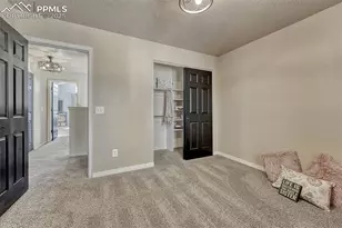 7295 Cotton Dr, Colorado Springs, CO 80923 - Photo 31