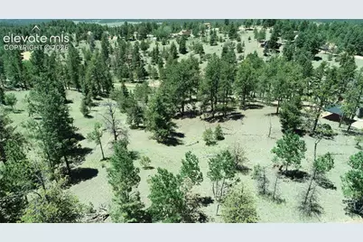 1366 N Mountain Estates Road, Florissant, CO 80816 - Photo 5