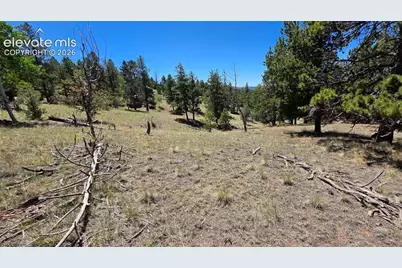 1366 N Mountain Estates Road, Florissant, CO 80816 - Photo 3