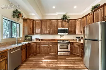 16265 Roller Coaster Road, Colorado Springs, CO 80921 - Photo 9