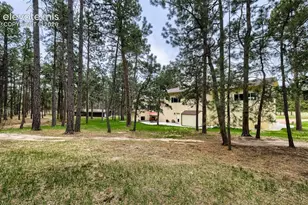 16265 Roller Coaster Rd, Colorado Springs, CO 80921 - Photo 37