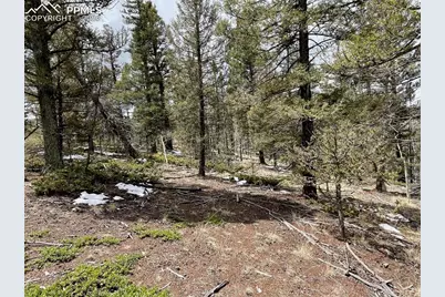 228 Alpine Drive, Florissant, CO 80816 - Photo 13